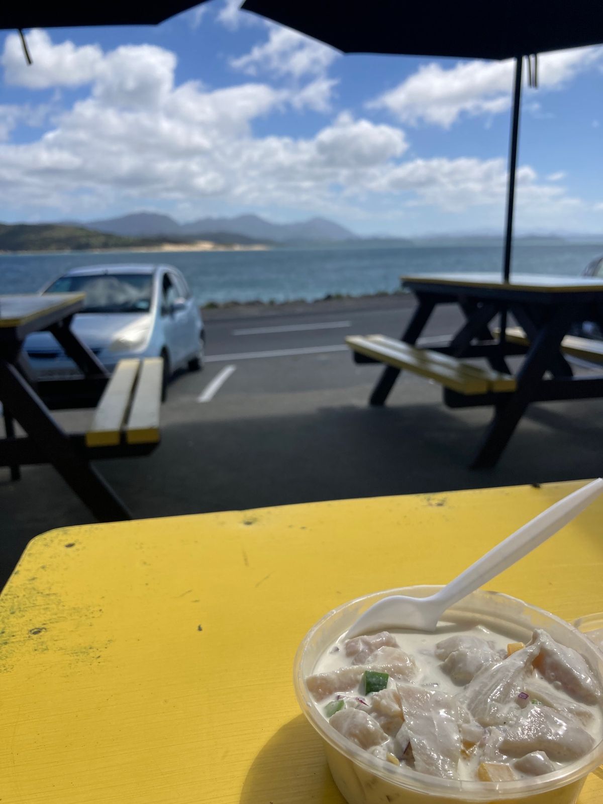 @Hokianga
ニュージーランドで現存する最大のKauriの木Tane...