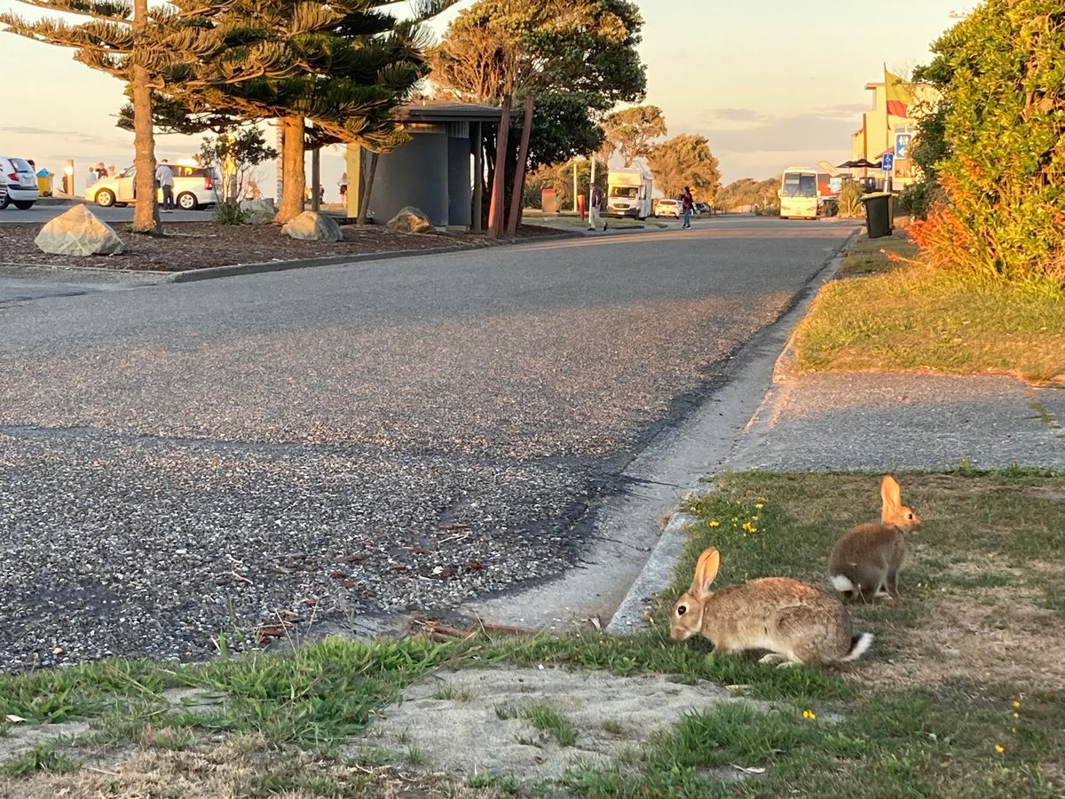 @Hokitika
南島に入ってからなんとなく心惹かれる場所がなく、色々ス...
