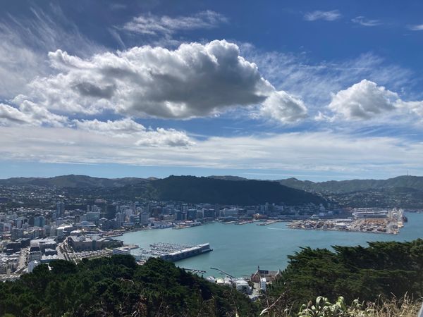 ニュージーランド・Auckland「New Zealand road trip」の写真：@Wellington
ちょっと中心部か...