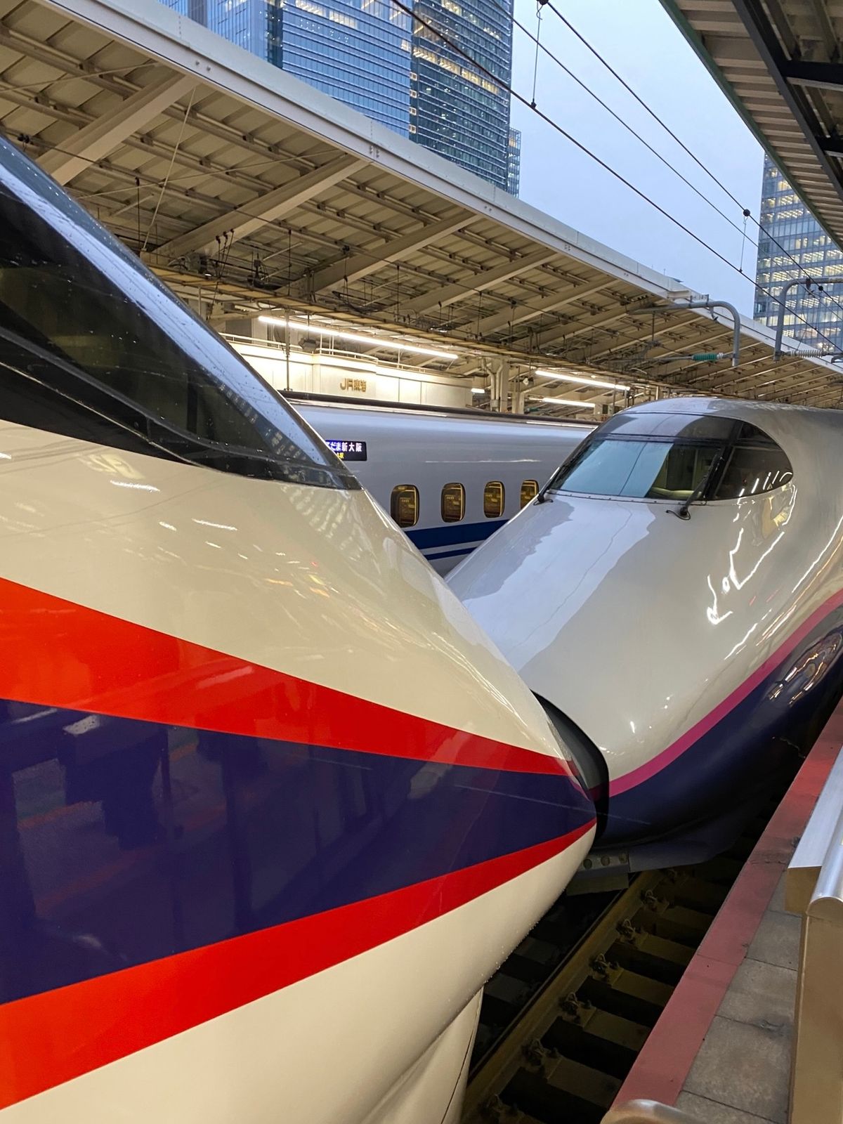 鎌倉➡︎大船➡︎東京⏩帰宅。
お留守番してくれた🐈‍⬛
くれあ🐈‍⬛😋ただいま😊