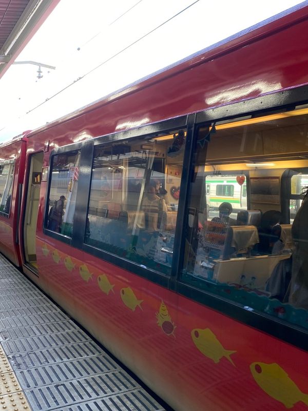 日本・静岡県伊豆市「🚅大人の修学旅行🚊❷」の写真：伊東➡︎三島大社⛩へ。
運良く、ﾘｿﾞｰ...