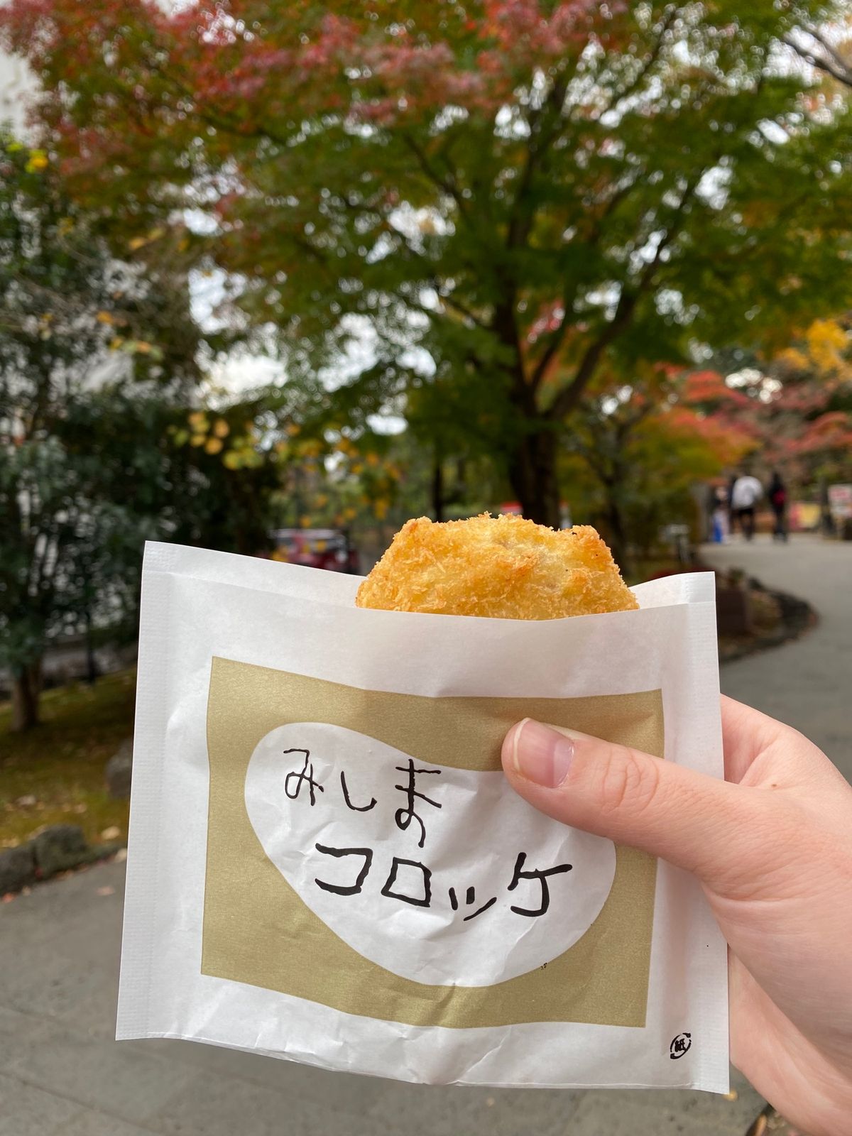 伊東➡︎三島大社⛩へ。
運良く、ﾘｿﾞｰﾄ急行きんめ🐡に乗れました😆
三島...