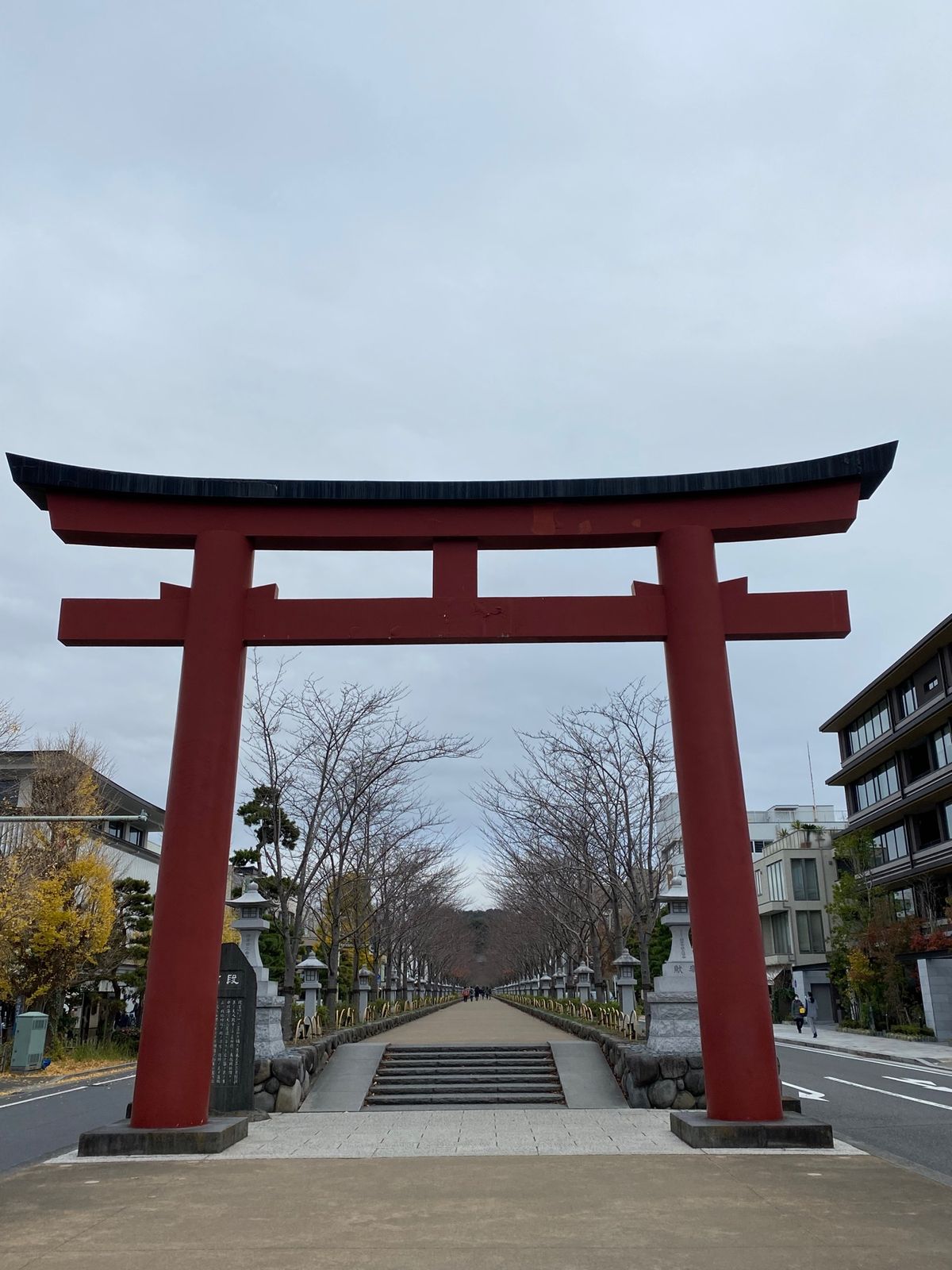 鎌倉へ行く度に必ずお参りする、鶴岡八幡宮⛩