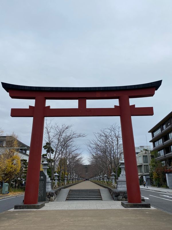 日本・静岡県伊豆市「🚅大人の修学旅行🚊❷」の写真：鎌倉へ行く度に必ずお参りする、鶴岡八幡宮⛩