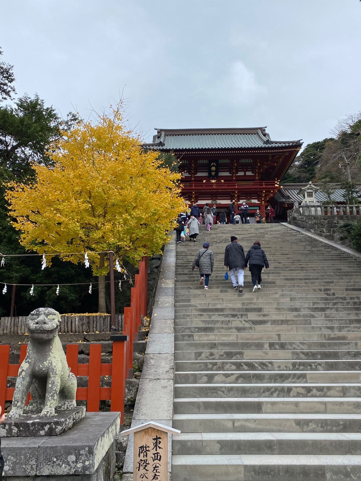 鎌倉へ行く度に必ずお参りする、鶴岡八幡宮⛩