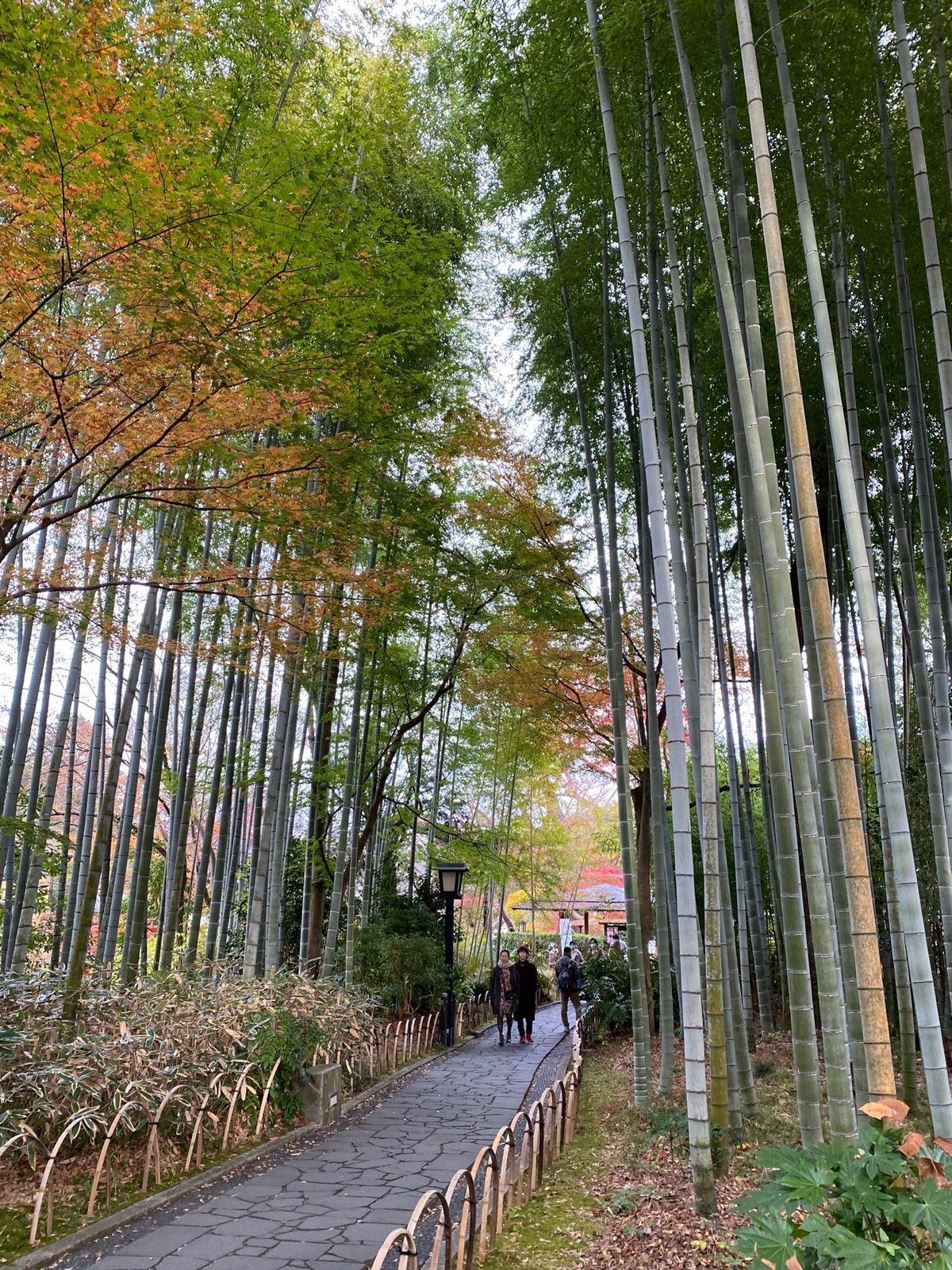 かわいいお地蔵さん。○修○竹の小径。源頼朝家の墓。
あまご茶屋の天蕎麦😋