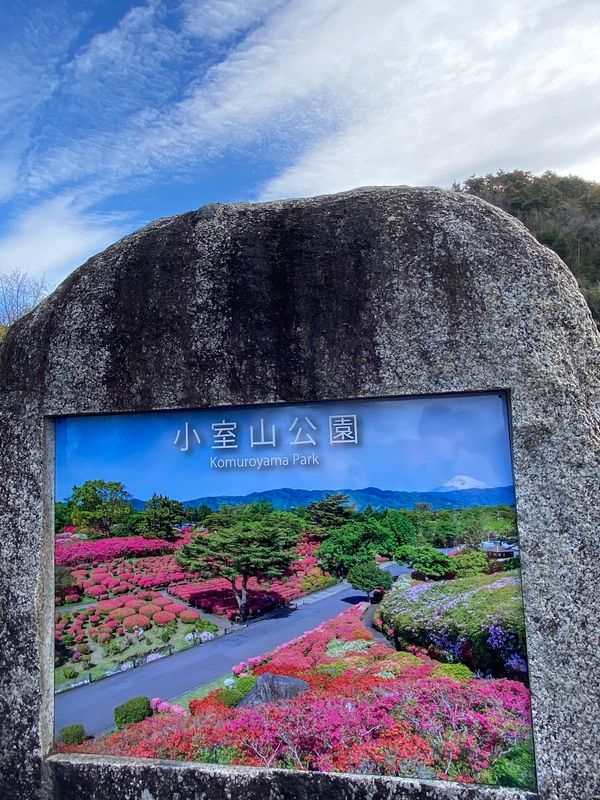 日本・静岡県伊豆市「🚅大人の修学旅行🚊❷」の写真：小室山へ、ｼﾝｸﾞﾙﾘﾌﾄ空中移動3分😵...