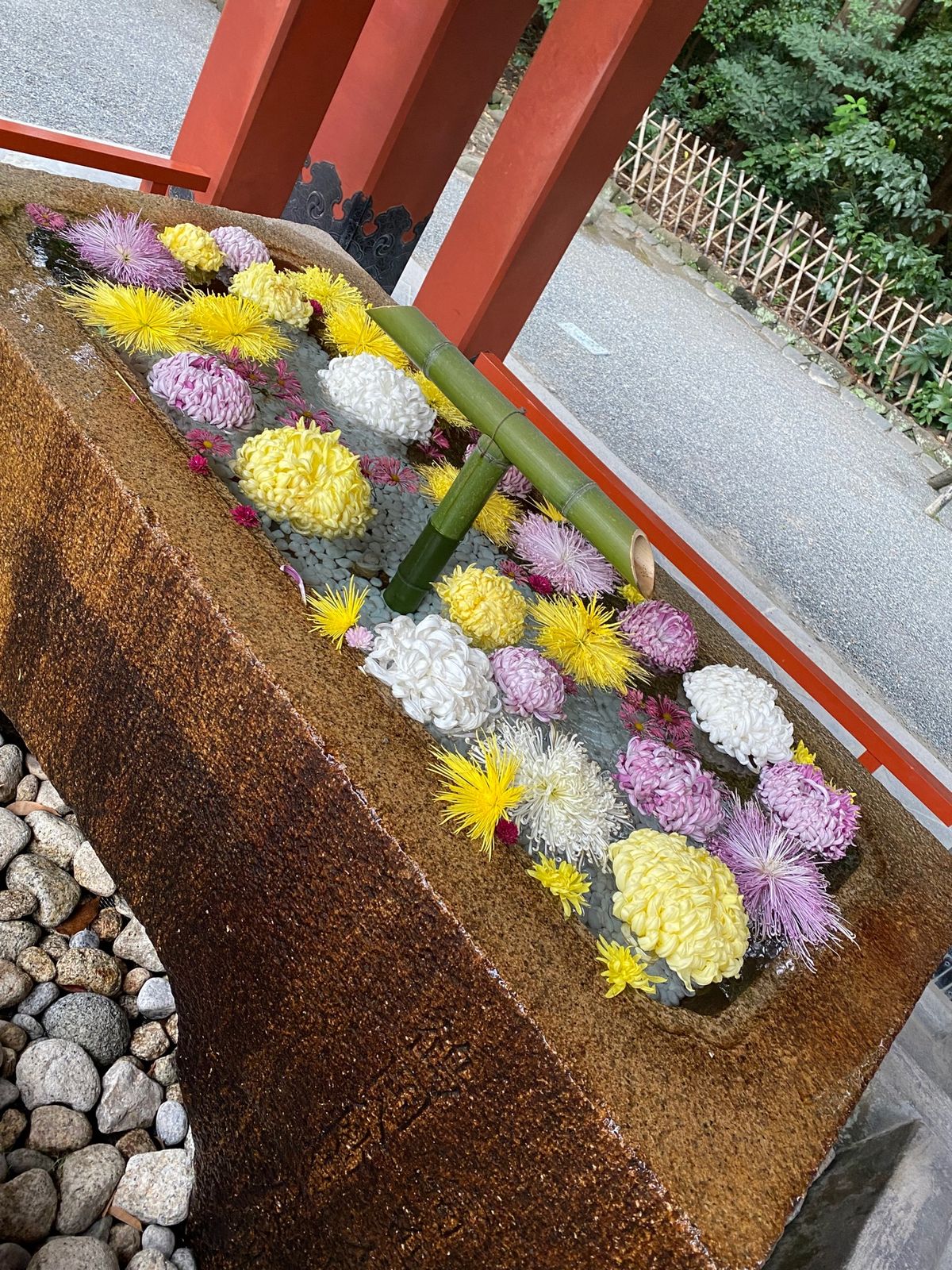 鎌倉へ行く度に必ずお参りする、鶴岡八幡宮⛩