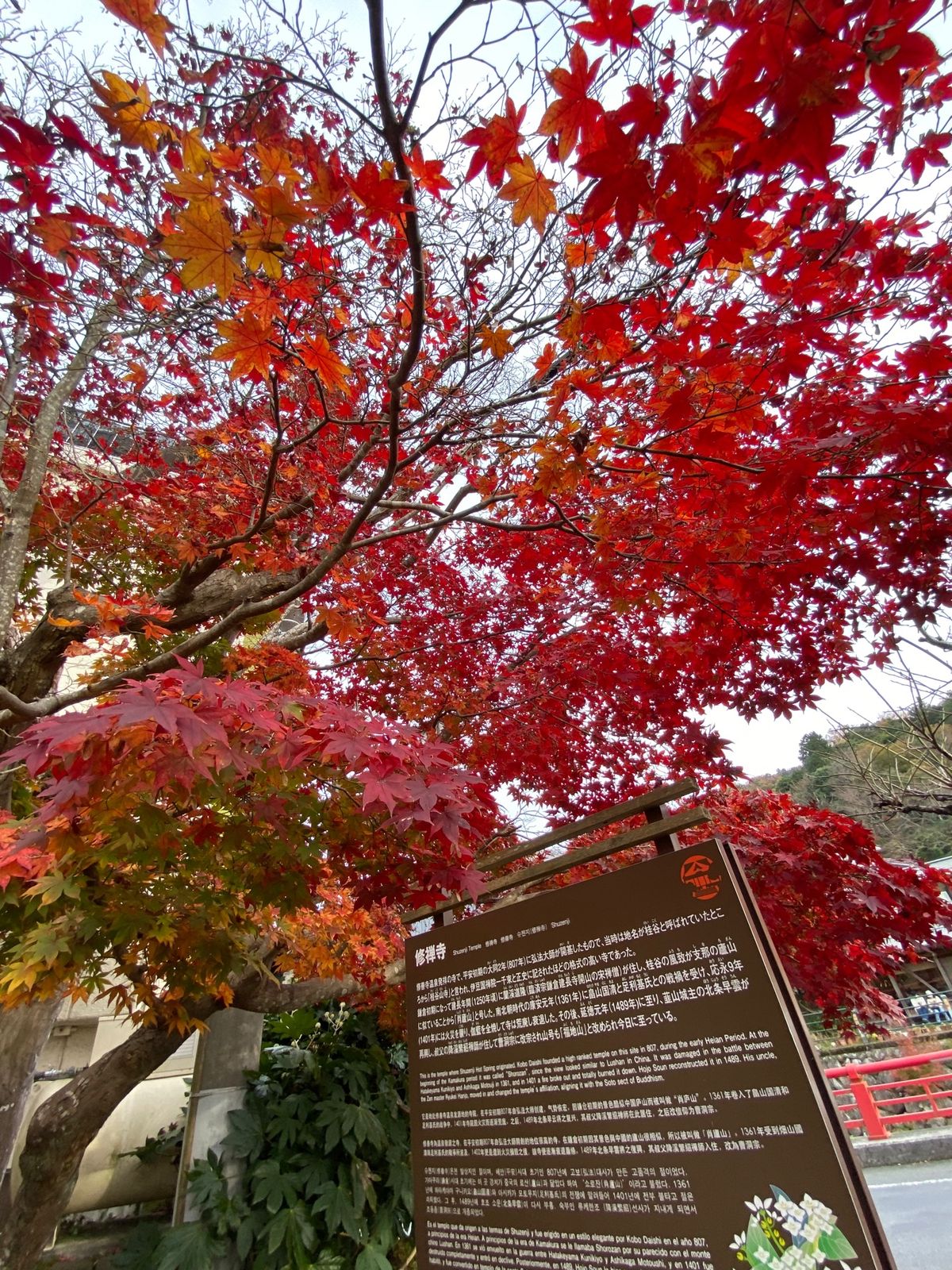 車窓の富士山🗻
伊豆箱根鉄道🚃修善寺駅。バス🚌に乗り換え
修禅寺🍁