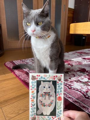 鎌倉➡︎大船➡︎東京⏩帰宅。
お留守番してくれた🐈‍⬛
くれあ🐈‍⬛😋ただいま😊