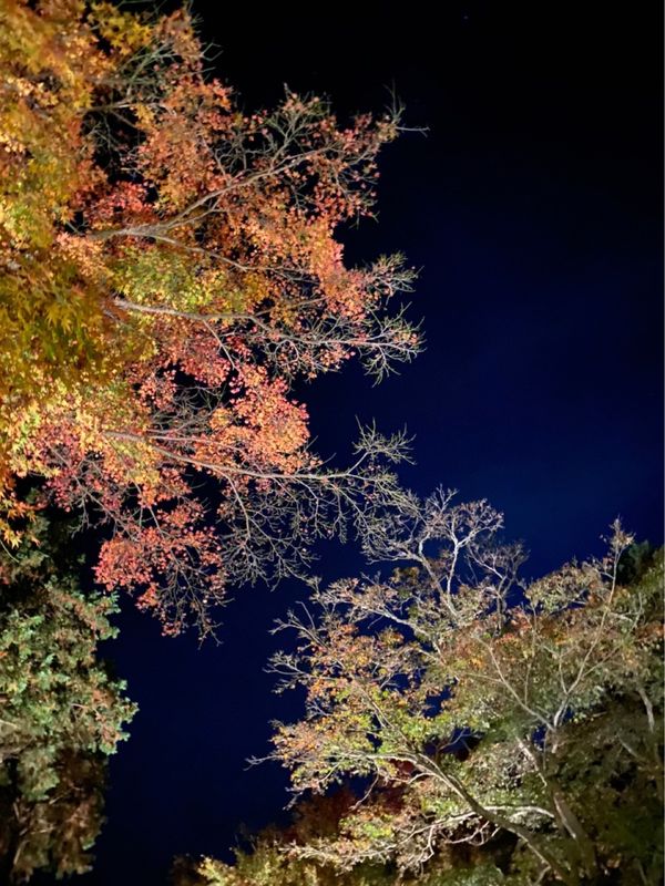 日本・長崎「三世代旅」の写真：三渓園