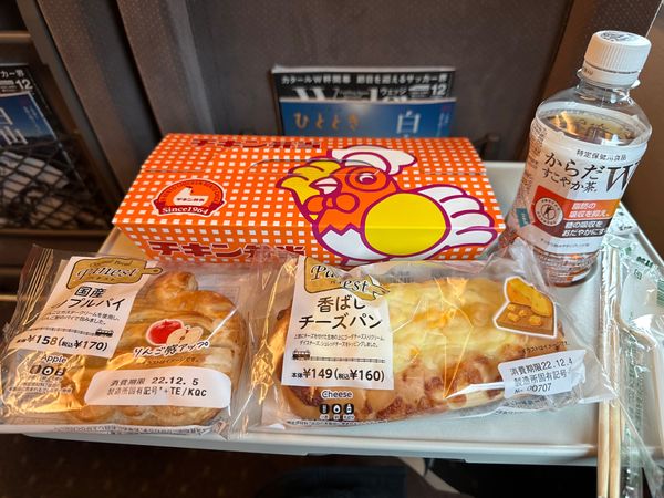 「広島グリーンアリーナと観光」の写真：新幹線車内