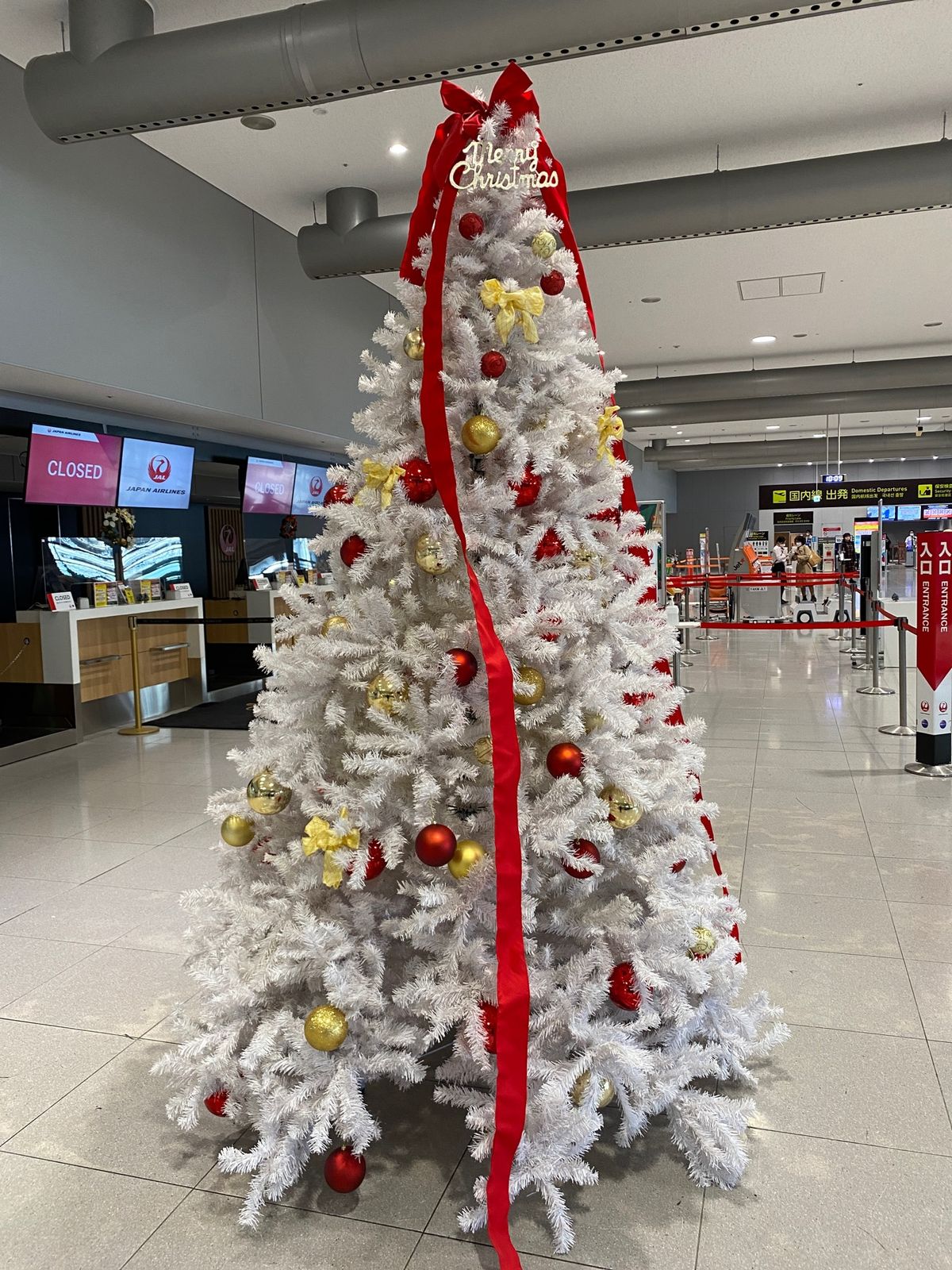 いつも通り関空から新千歳へと。
今回は第1ターミナルから。
クリスマスツリ...