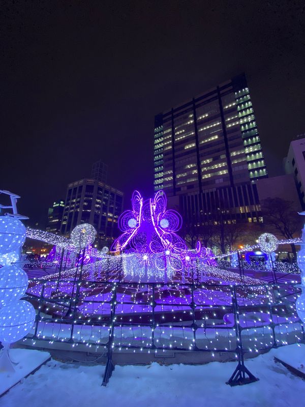 日本・北海道「すでに雪景色！12月の北海道」の写真：雪が舞う大通り公園にイルミネーション。
...