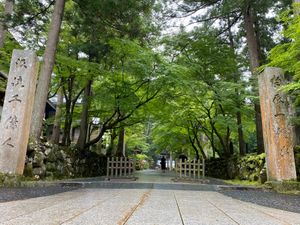 大迫力の恐竜博物館、東尋坊に永平寺
やや旬を外してましたが美味しかった蟹