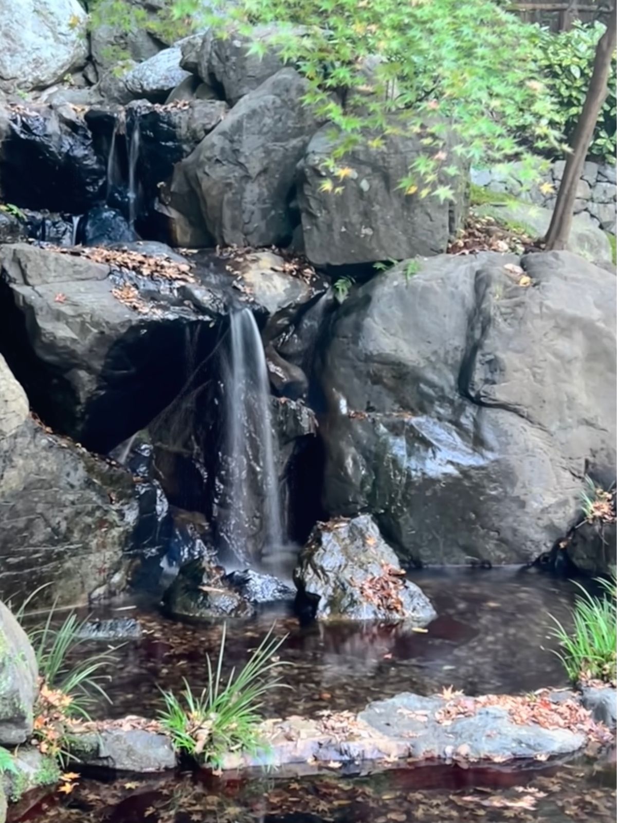 工場見学出来て感動した!!
案内してくださった方の説明がとてもわかりやすく...