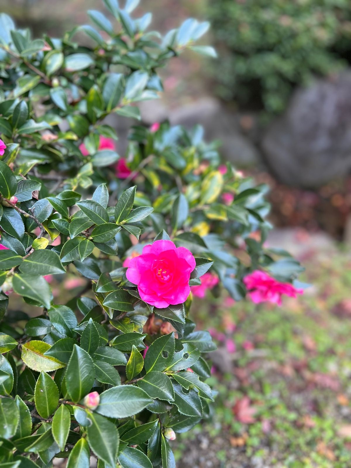 工場見学出来て感動した!!
案内してくださった方の説明がとてもわかりやすく...