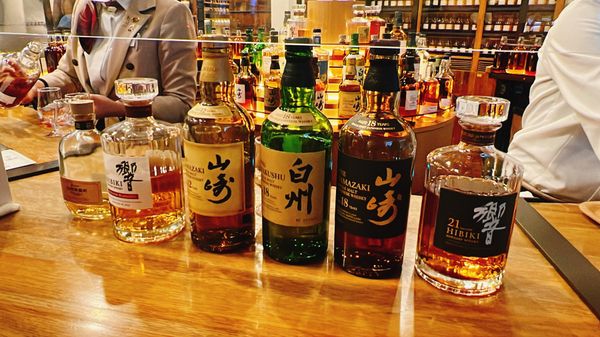 日本・京都府「京都日帰り旅」の写真