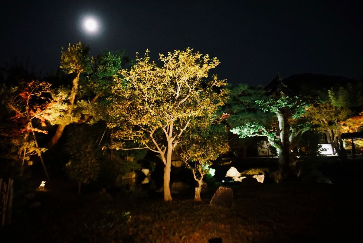 【高台寺】
こちらも「きのう何食べた？」を観て🥺
豊臣秀吉の安らかな眠りを...