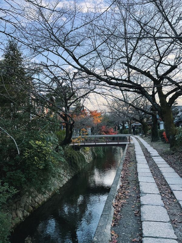 日本・京都府「京都」の写真：【哲学の道】
銀閣寺〜哲学の道のコースが...