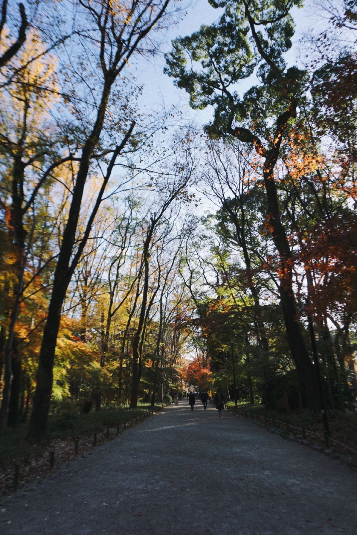 【賀茂御祖神社(下鴨神社)】

学生時代以来かもしれない

♪耳打ちしたの...