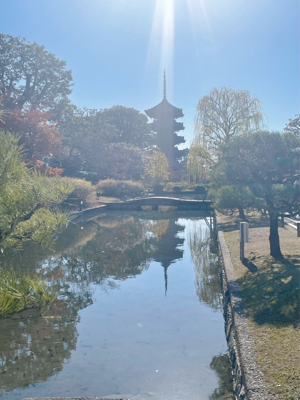 【東寺】五重塔
ホテルから徒歩圏内だったので散歩がてら
でも時間がなくて拝...