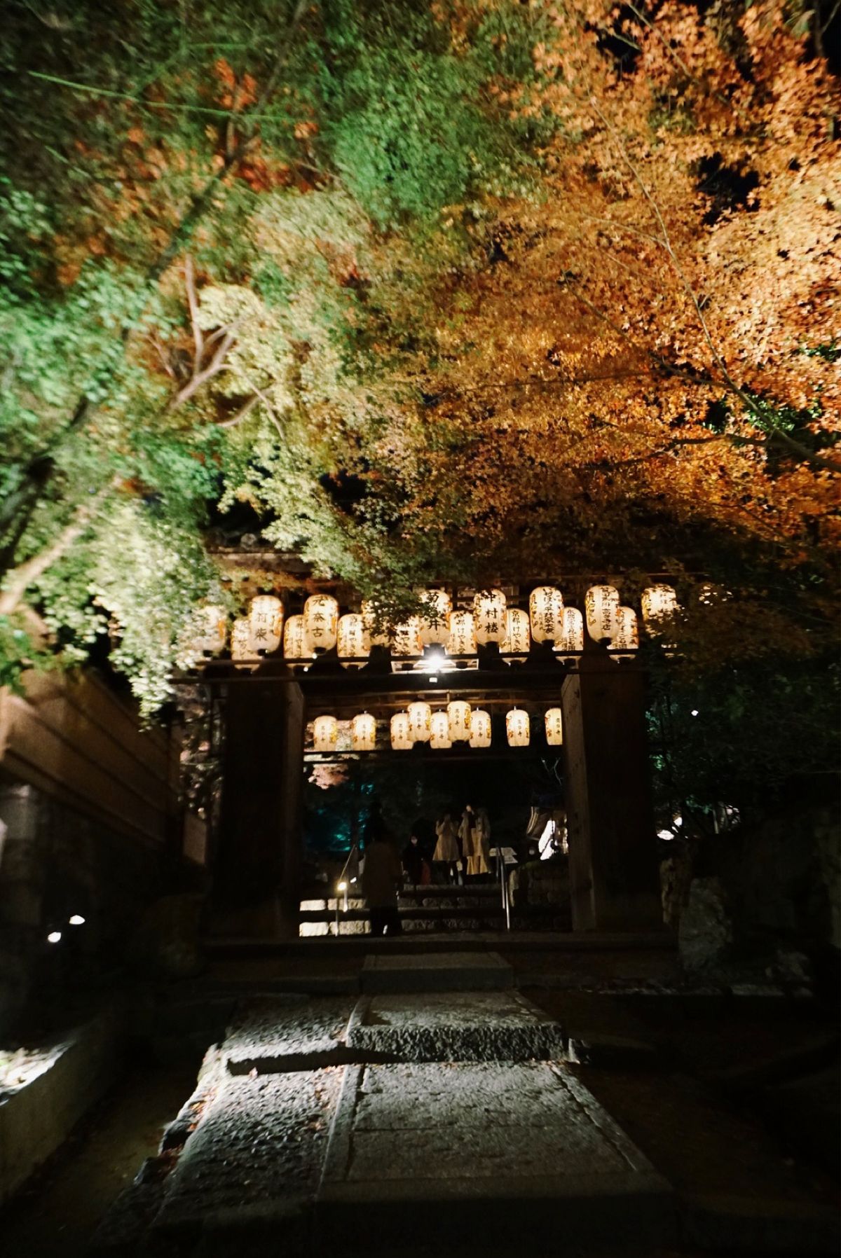 【高台寺】
こちらも「きのう何食べた？」を観て🥺
豊臣秀吉の安らかな眠りを...