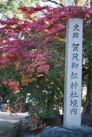【賀茂御祖神社(下鴨神社)】

学生時代以来かもしれない

♪耳打ちしたの...