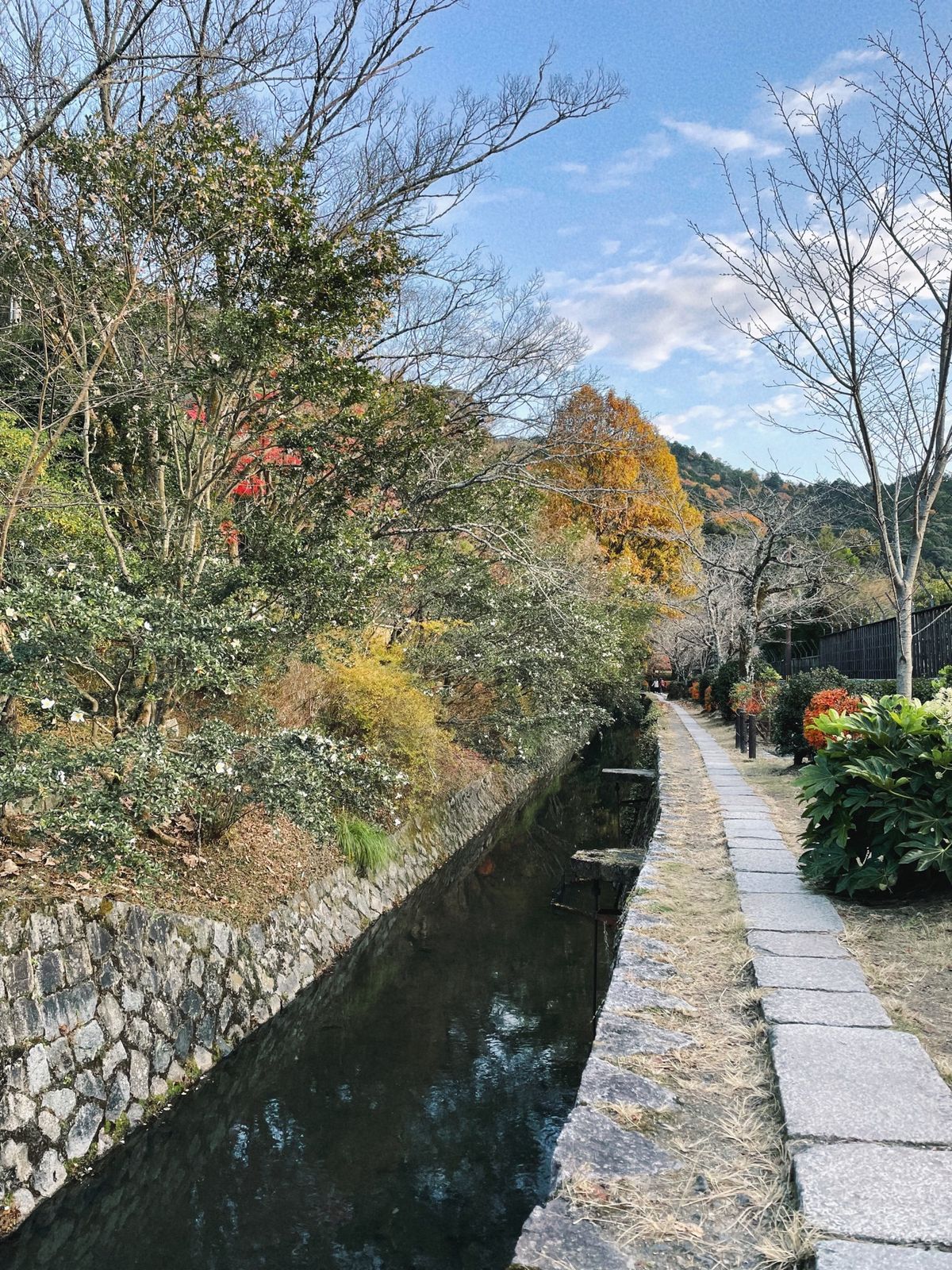 【哲学の道】
銀閣寺〜哲学の道のコースが好きだった
これまた久しぶりに歩い...