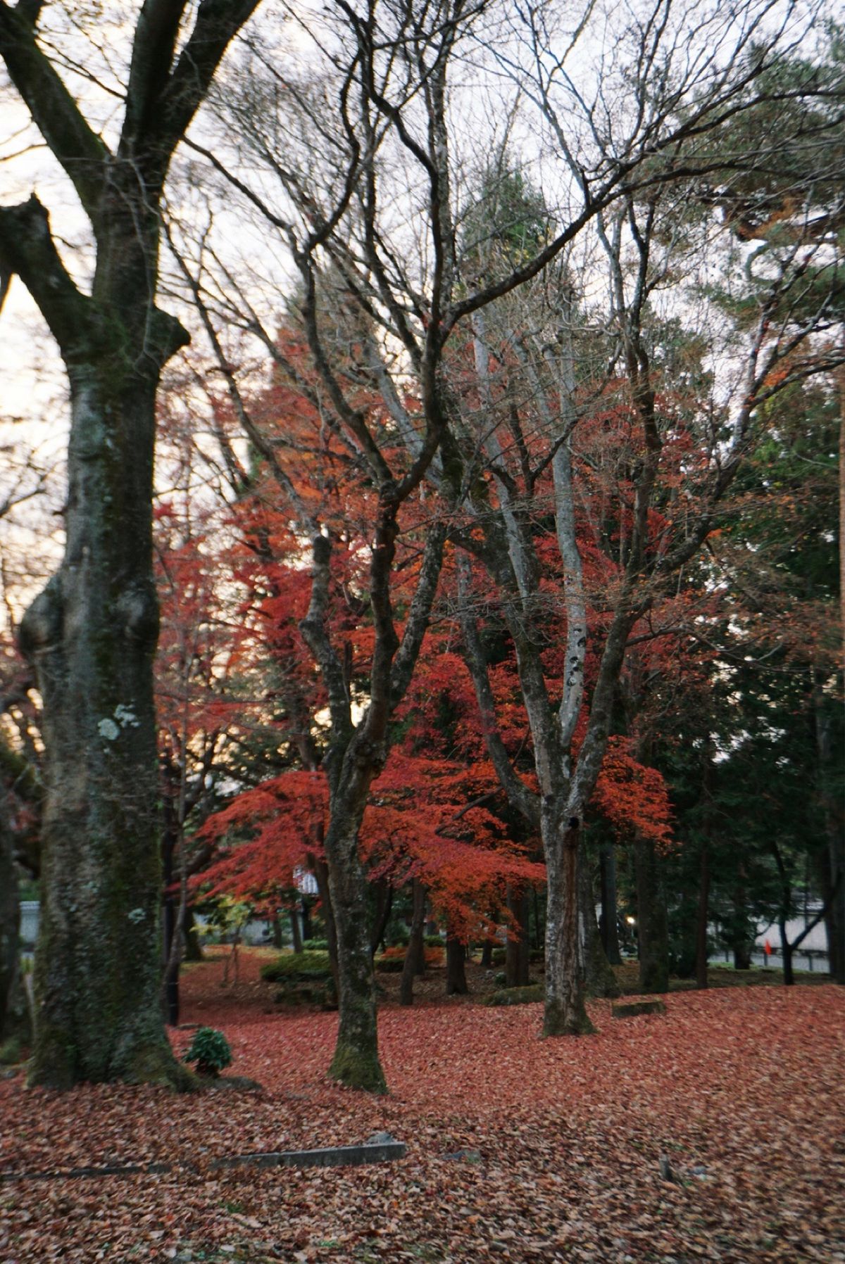 【南禅寺】
「きのう何食べた？」を観て行ってみた
ケンジが喜んでいた水路閣