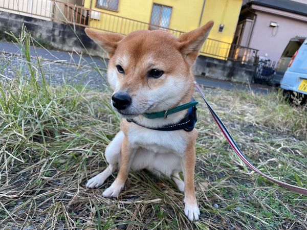 日本・沖縄県「沖縄」の写真