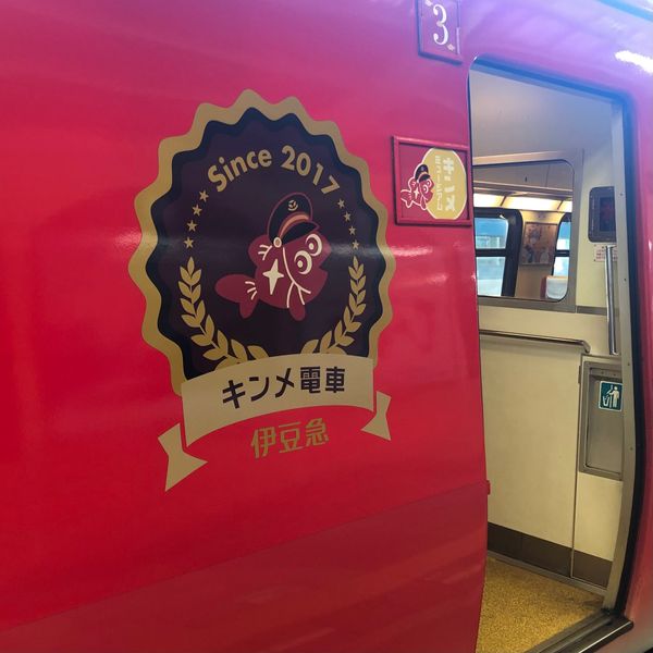 日本・静岡県「ダムを求めて〜静岡県 奥野ダム〜」の写真：伊豆急行、普通列車なのに豪華。
海沿いを...