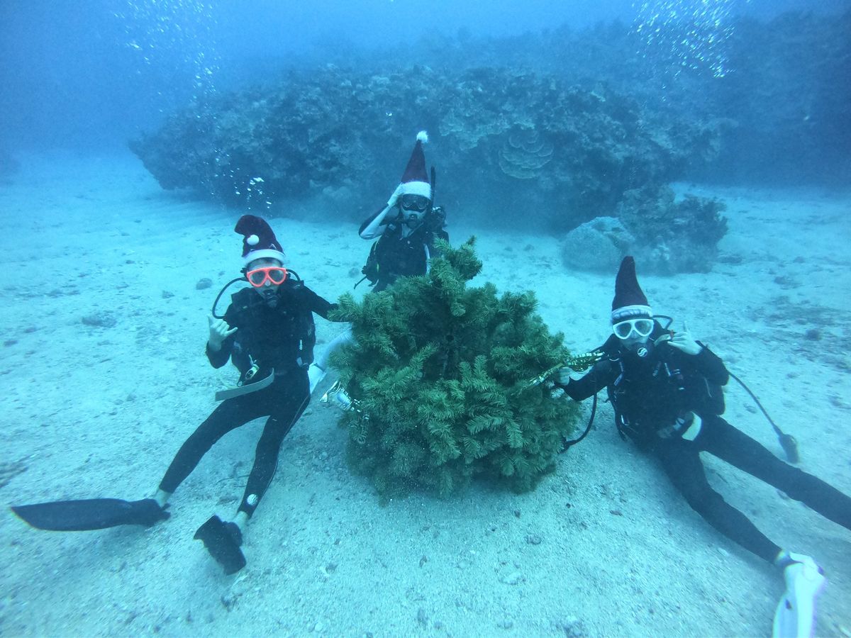 到着日の午後はバギーに乗りました。長男が18歳になったので運転に初挑戦しま...