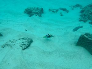 4年振りのマニャガハ島は「砂浜がなくなってる！」と驚きました。
コロナ禍で...