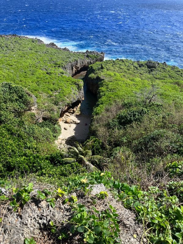 北マリアナ諸島・サイパン「サイパン旅行」の写真：本日の午前中はグロットシュノーケリング(...