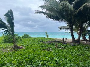 4年振りのマニャガハ島は「砂浜がなくなってる！」と驚きました。
コロナ禍で...