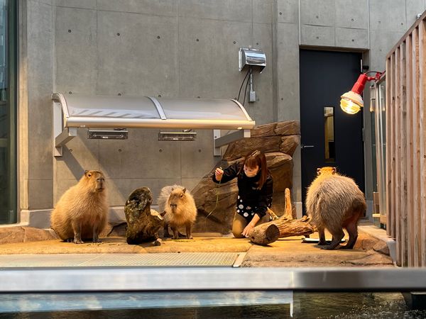 日本・神戸「神戸旅行」の写真