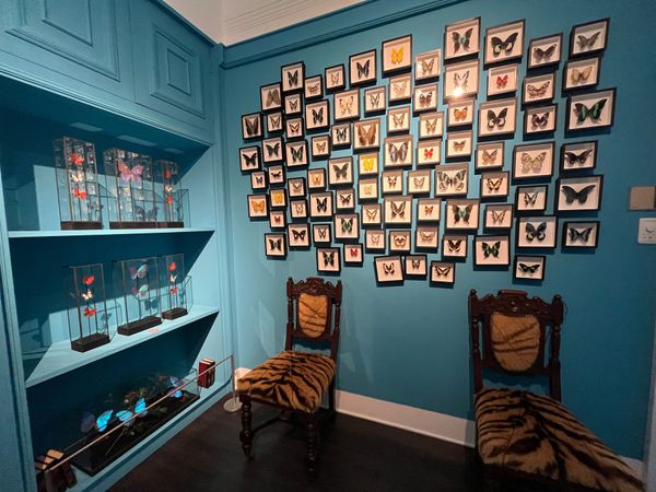 日本・神戸「神戸旅行」の写真