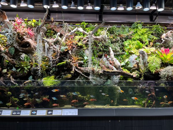 日本・神戸「神戸旅行」の写真