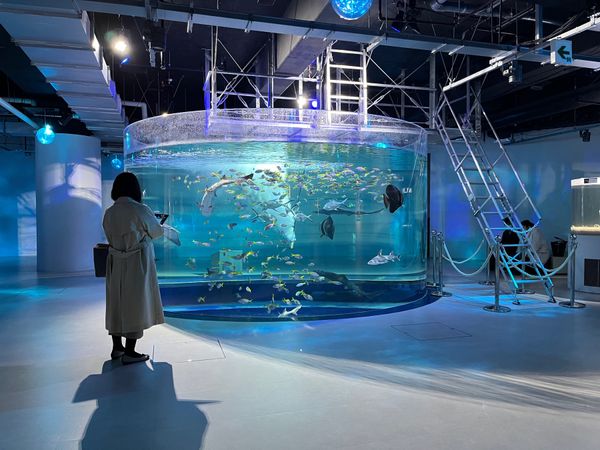 日本・神戸「神戸旅行」の写真