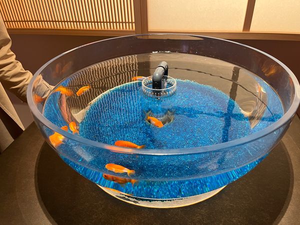 日本・神戸「神戸旅行」の写真