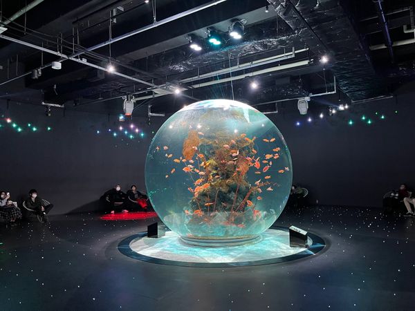 日本・神戸「神戸旅行」の写真