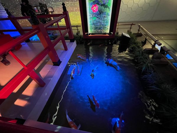 日本・神戸「神戸旅行」の写真