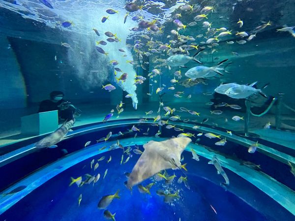 日本・神戸「神戸旅行」の写真
