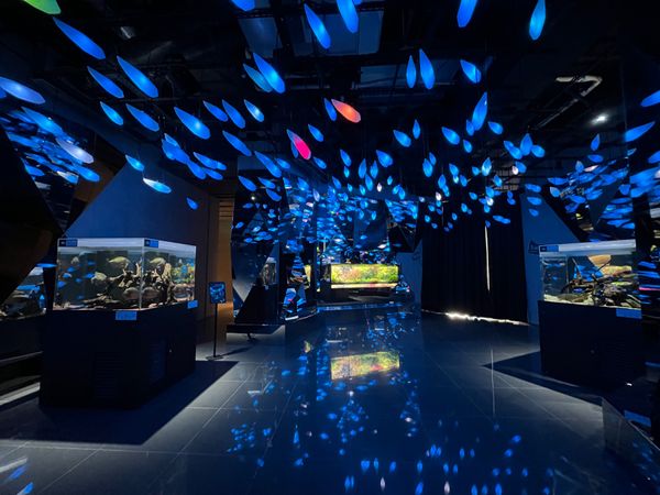 日本・神戸「神戸旅行」の写真