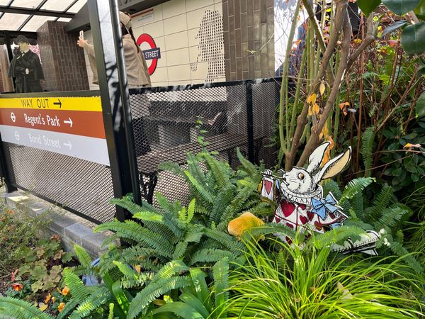 日本・神戸「神戸旅行」の写真