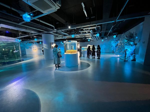 日本・神戸「神戸旅行」の写真