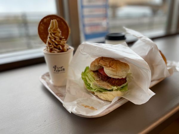 日本・島根県「島根 in 出雲,境/ 鳥取 in 白兎」の写真