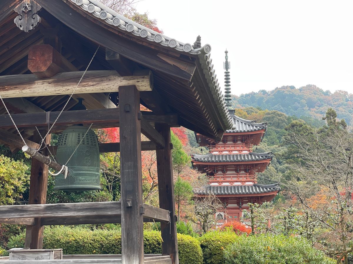 やっぱり1日だと京都は堪能出来ない😓
今度は2泊ぐらいしないと…。
三室戸...