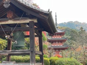 やっぱり1日だと京都は堪能出来ない😓
今度は2泊ぐらいしないと…。
三室戸...